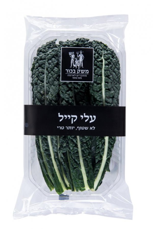 קייל