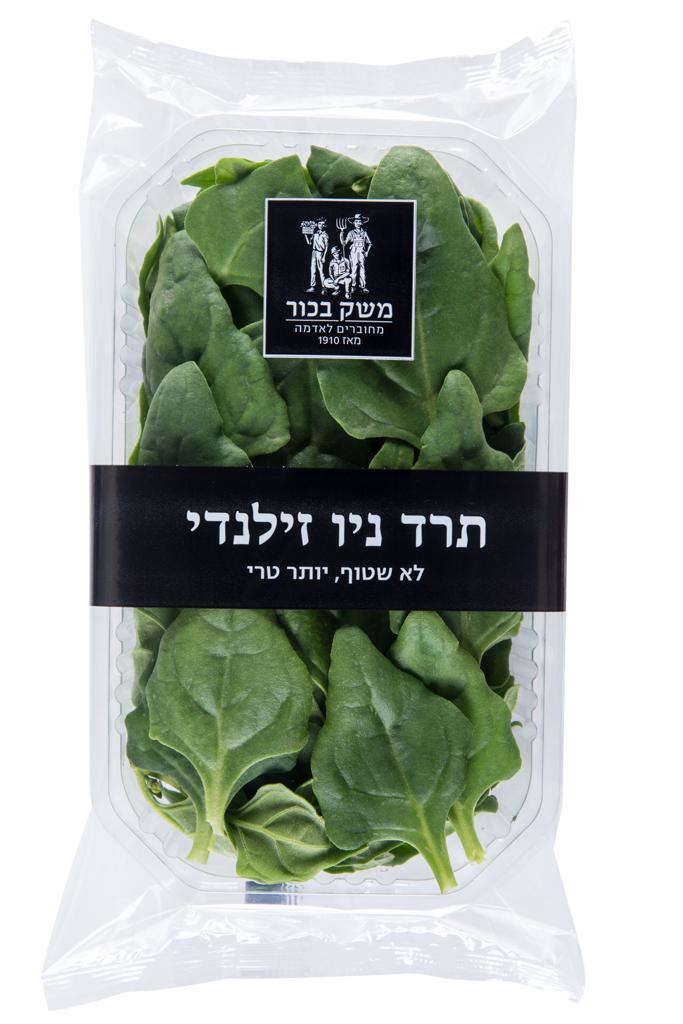 תרד ניו זילנד