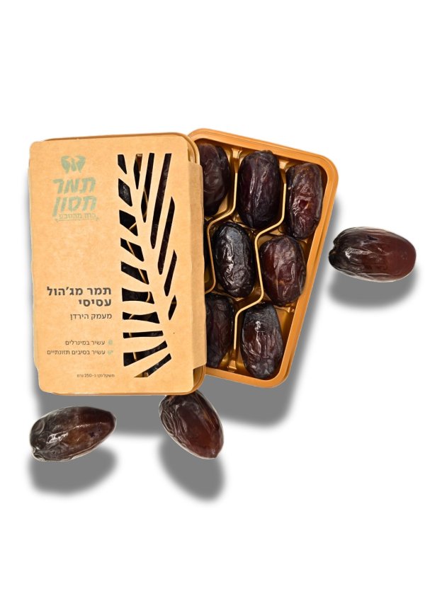 תמר חסון