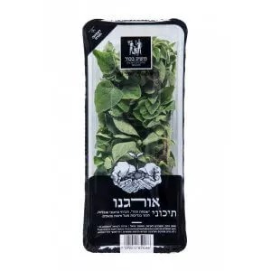אורגנו