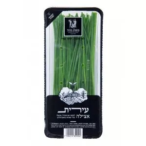 עירית