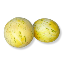 מלון פונטו